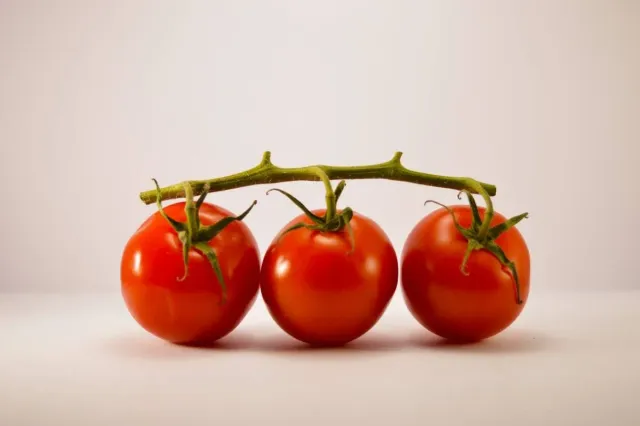 Tomaten bewaren